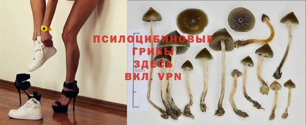 соль ск Балабаново