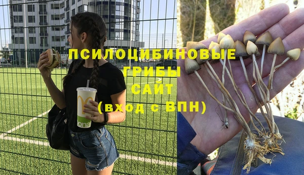 ГАЛЛЮЦИНОГЕННЫЕ ГРИБЫ Елизово