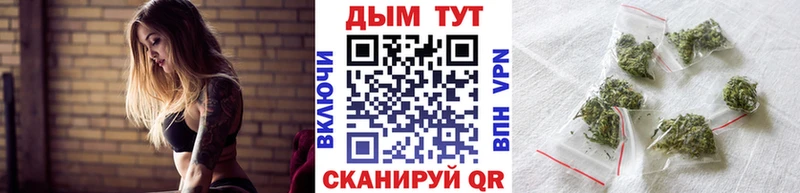 Шишки марихуана Ganja Кологрив